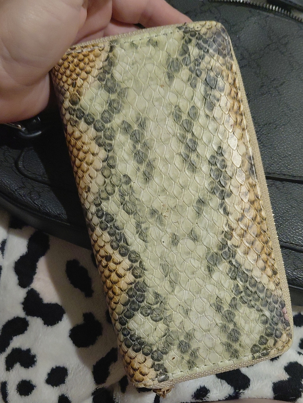 Snake-Pattern Reptile Wallet Case in Cream and Brown